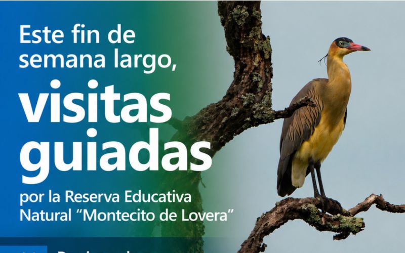 Agenda rionativo