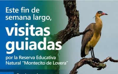  Visitas guiadas en la Reserva Educativa Natural 